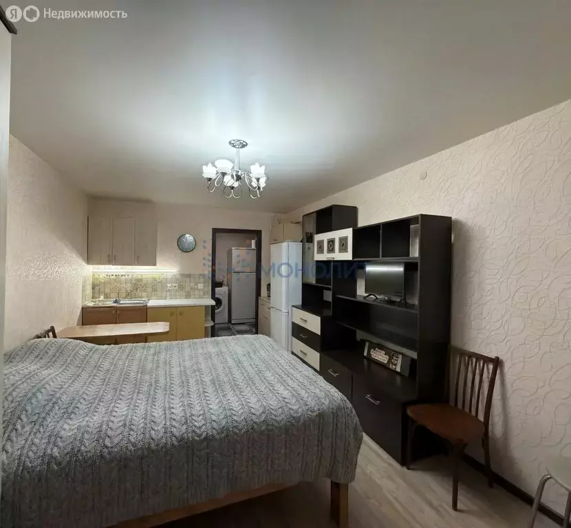 Квартира-студия: Нижний Новгород, улица Баумана, 48к2 (23.9 м) - Фото 2