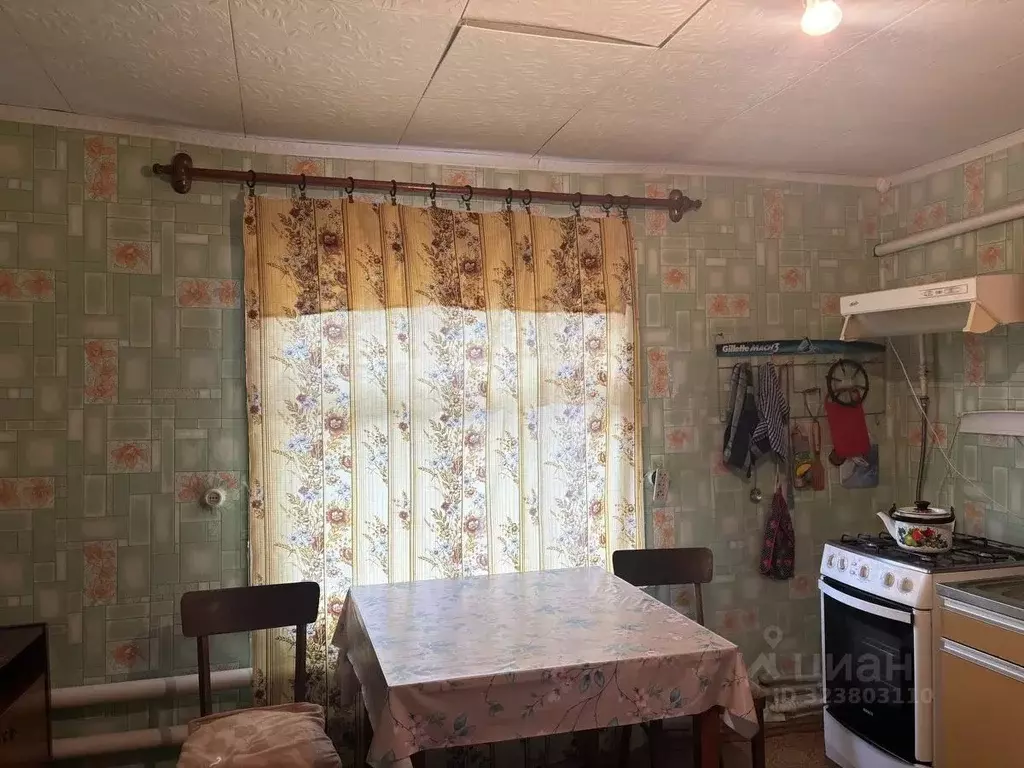 Дом в Воронежская область, Борисоглебск Республиканская ул., 12 (64 м) - Фото 2