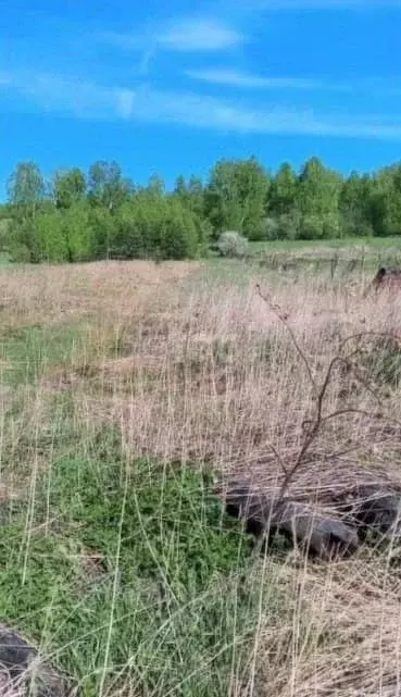 Участок в Алтайский край, Бийск городской округ, с. Фоминское ул. ... - Фото 0