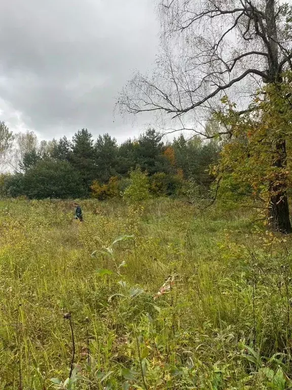 Участок в Москва д. Никоново, 73 (13.0 сот.) - Фото 1