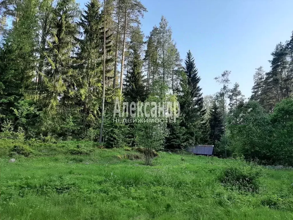 Участок в Ленинградская область, Выборгский район, Каменногорское ... - Фото 1