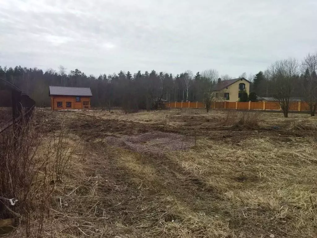 Участок в Ленинградская область, Выборгский район, Красносельское ... - Фото 0