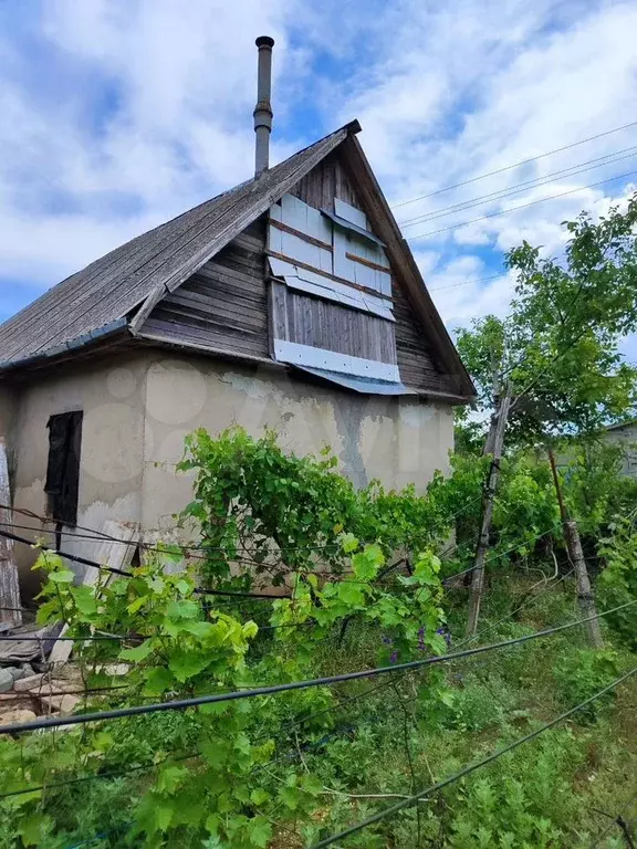 Участок 6 сот. (СНТ, ДНП) - Фото 0