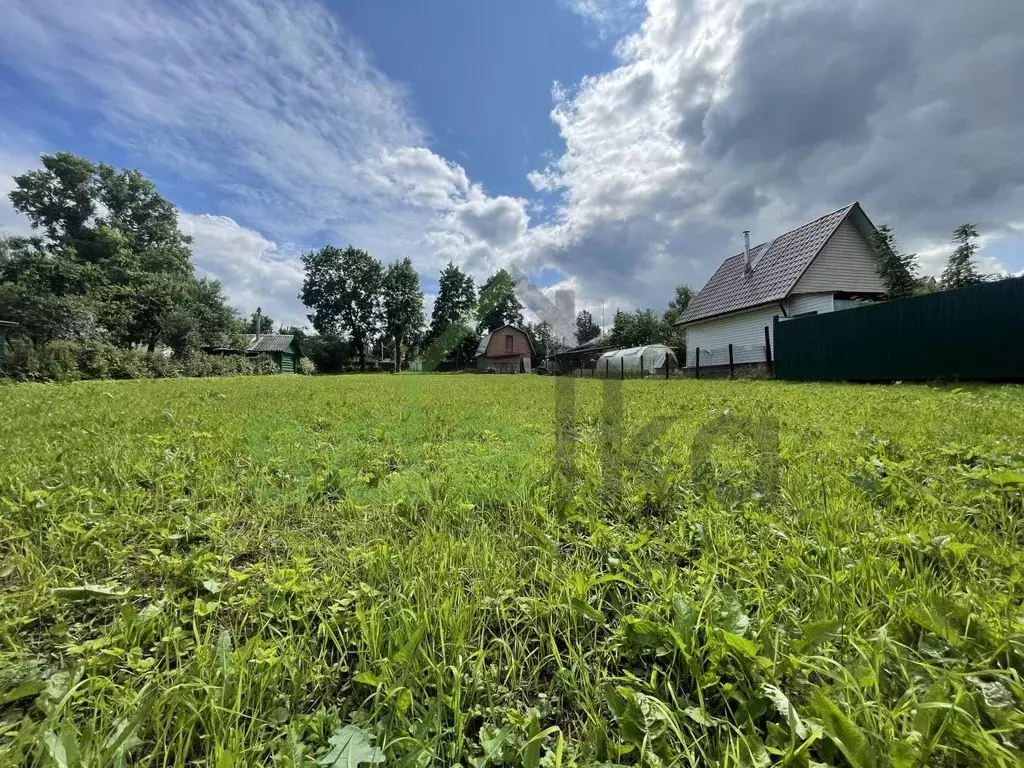 Участок в Москва д. Рожново, 23 (13.5 сот.) - Фото 2