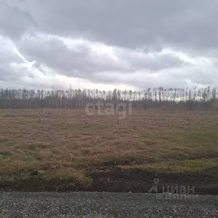 Участок в Новосибирская область, Новосибирский район, с. Плотниково ... - Фото 1