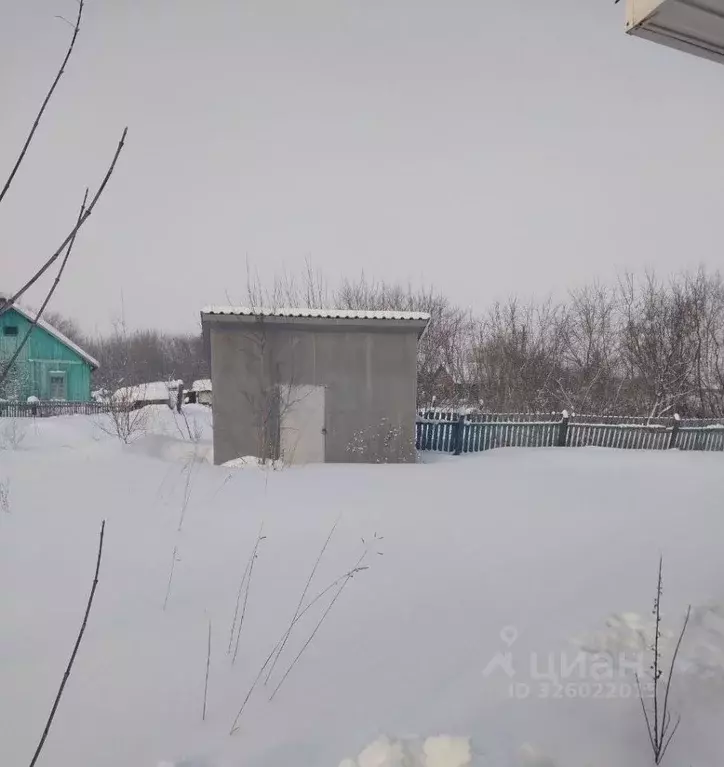 3-к кв. Алтайский край, Косихинский район, Баюново ст. Прилинейная ... - Фото 2