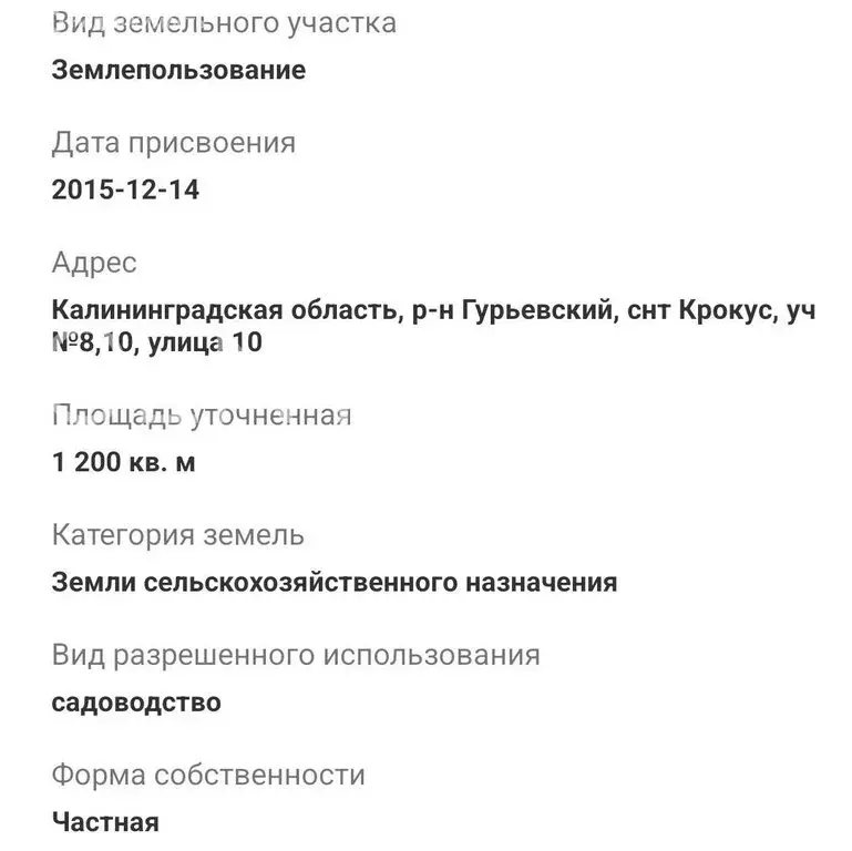 Участок в Калининградская область, Гурьевский муниципальный округ, ... - Фото 2