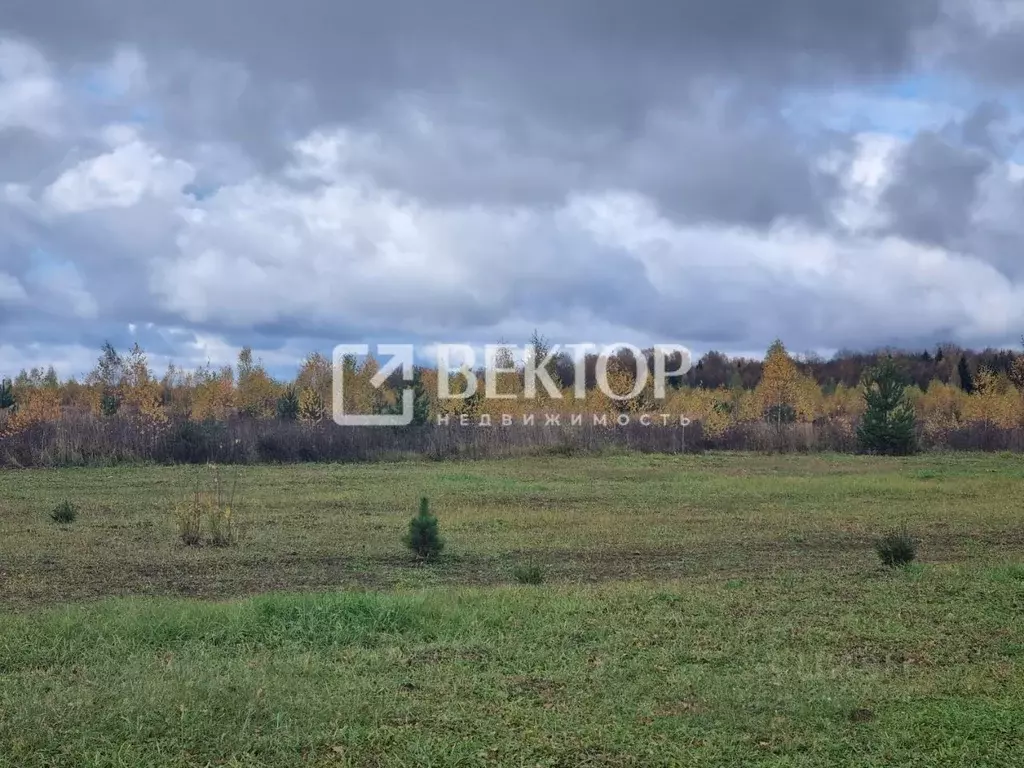 Участок в Ивановская область, Ивановский район, Беляницкое с/пос, д. ... - Фото 2