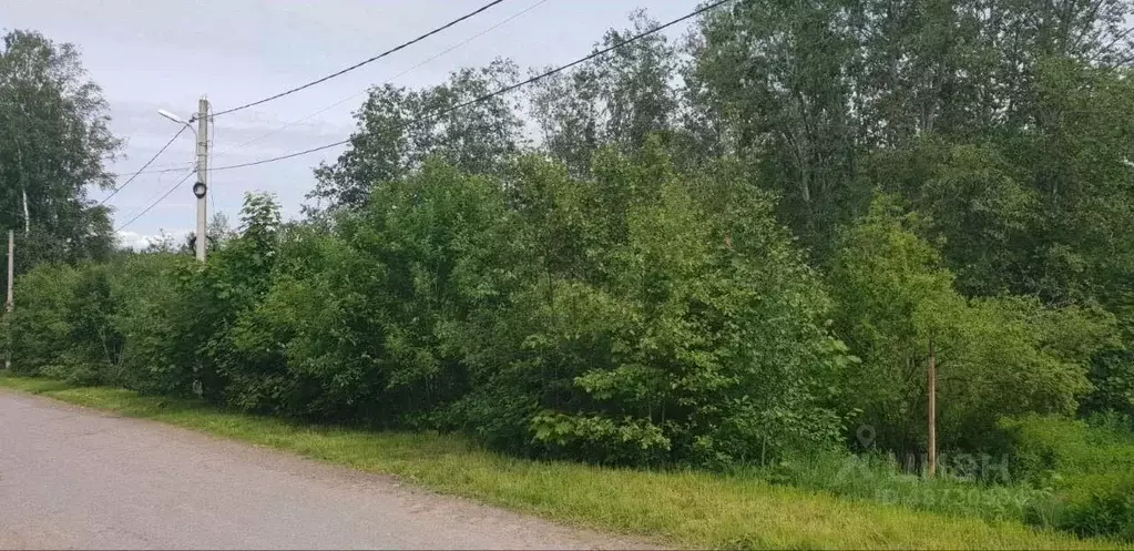 Участок в Ленинградская область, Выборгский район, Рощинское городское ... - Фото 1