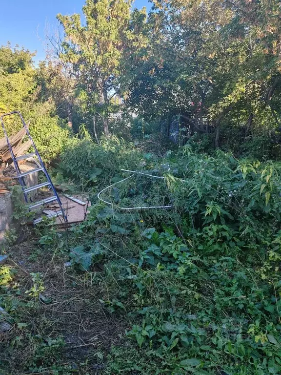 Дом в Омская область, Омск ул. Богдана Хмельницкого, 121 (74 м) - Фото 2