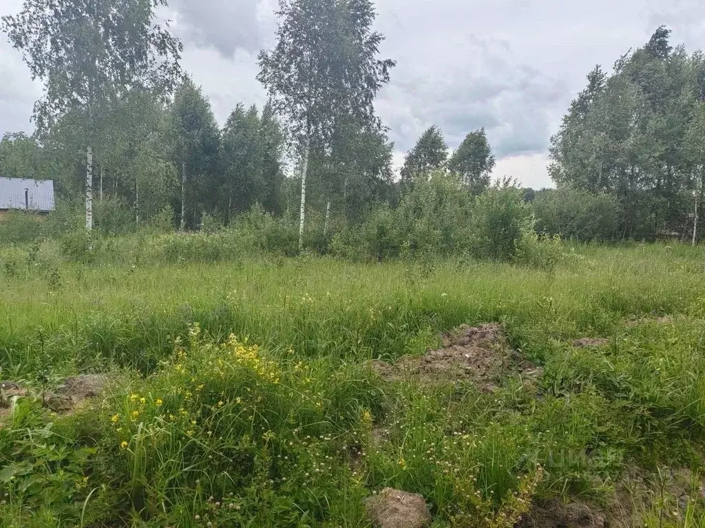 Участок в Московская область, Домодедово городской округ, с. Добрыниха ... - Фото 1