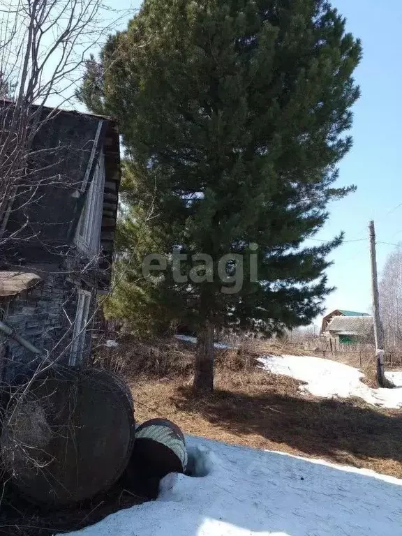 Дом в Томская область, Томск Медик-1 садовое товарищество, 7 (25 м) - Фото 1