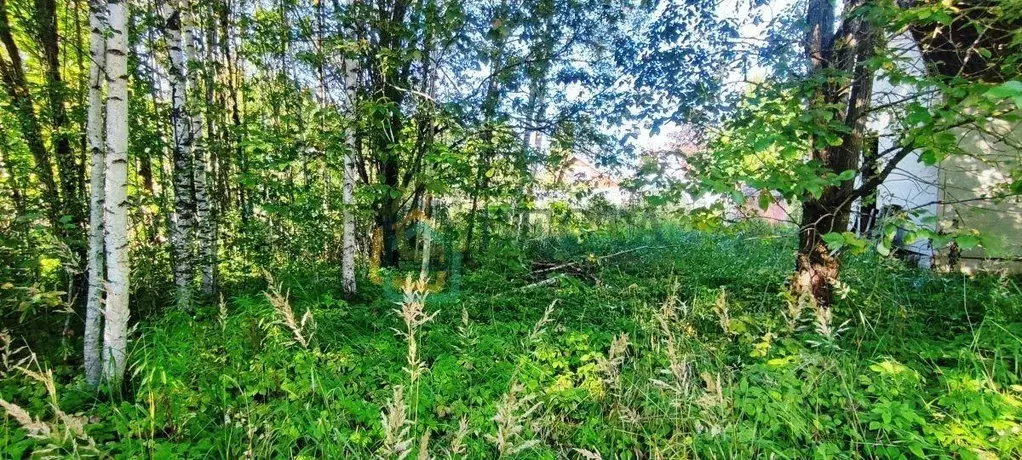 Участок, 6 сот., сельхоз (снт или днп) - Фото 0