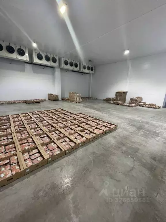 Склад в Красноярский край, Красноярск городской округ, Березовка ... - Фото 1