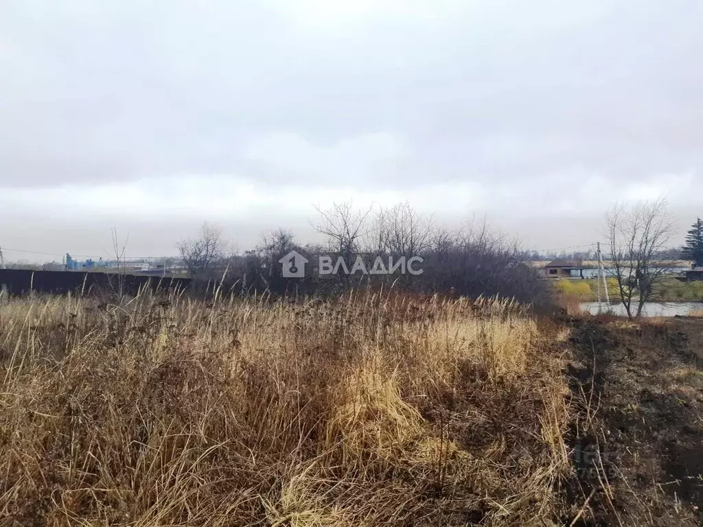 Участок в Пензенская область, Пензенский район, Богословский ... - Фото 2