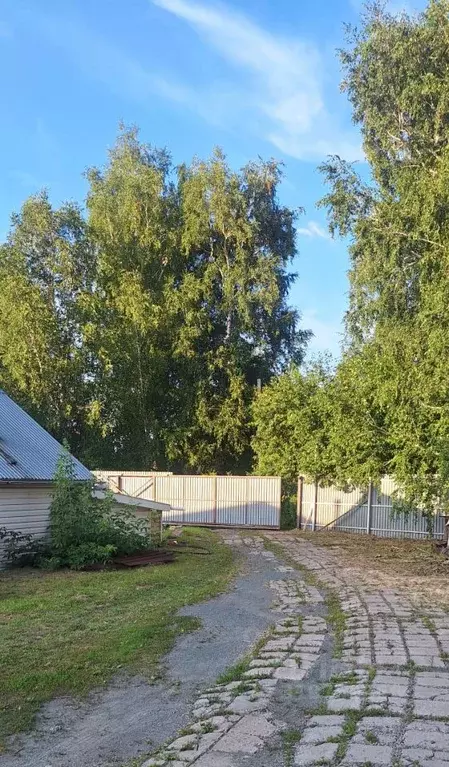 Коттедж в Алтайский край, Первомайский район, с. Березовка Лесная ул., ... - Фото 2