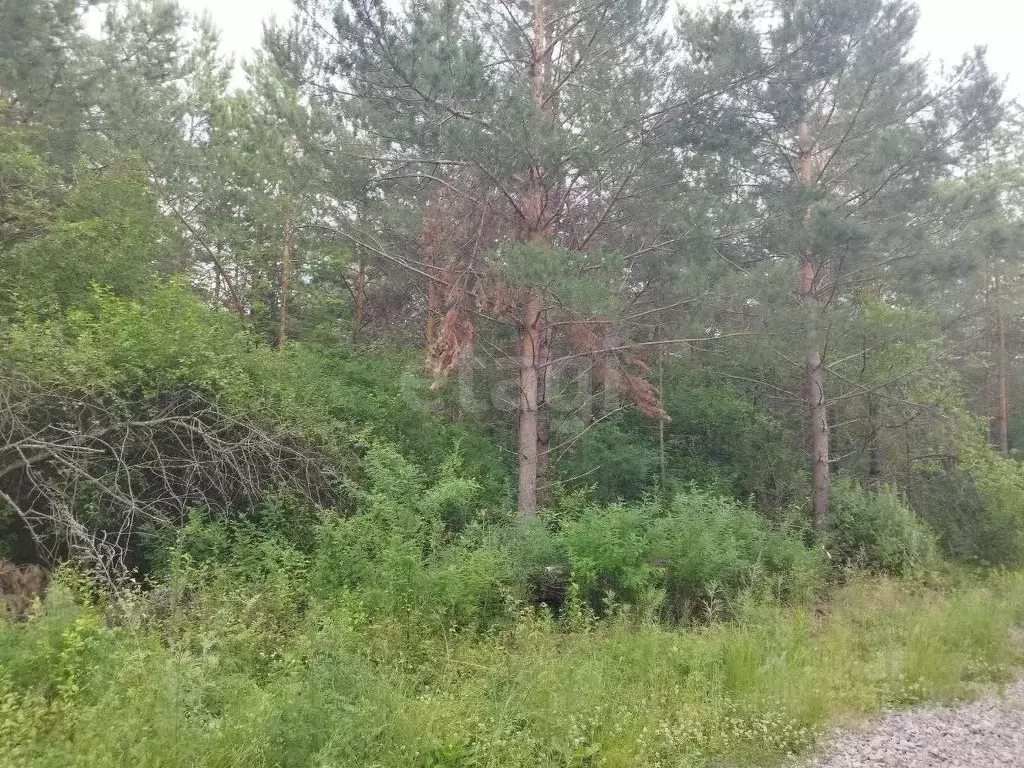 Участок в Свердловская область, Талица  (10.0 сот.) - Фото 1