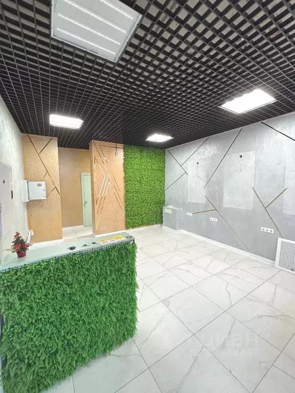 Помещение свободного назначения в Ленинградская область, Мурино ... - Фото 2