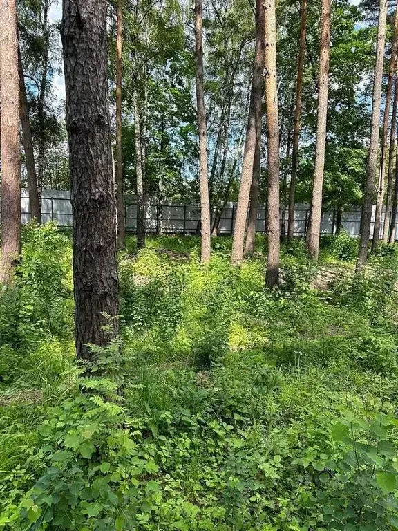 Участок в Московская область, Одинцовский городской округ, д. Бородки ... - Фото 1