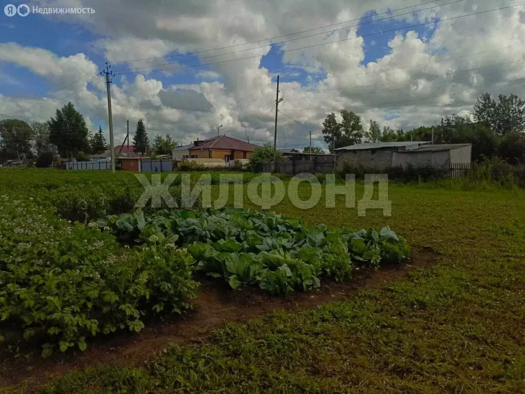 Дом в Коченёво, улица Лермонтова (56.8 м) - Фото 0
