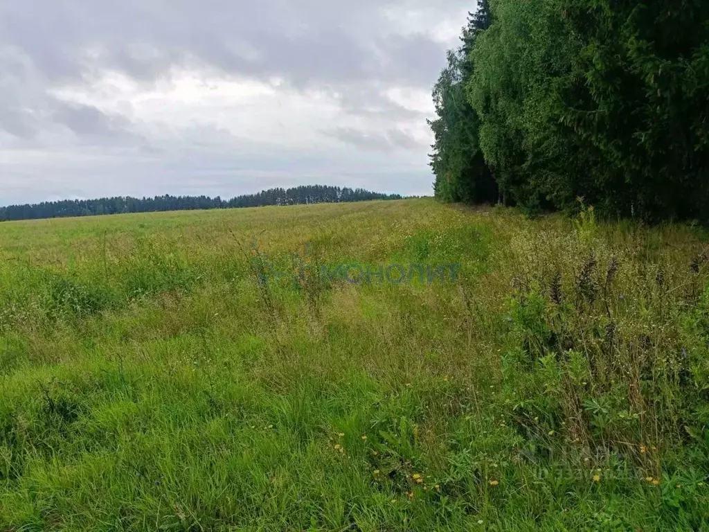 Участок в Нижегородская область, Богородский муниципальный округ, д. ... - Фото 1