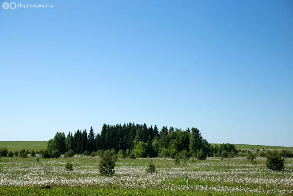 Участок в Завьяловский район, починок Мирный, Вербная улица, 4 (7 м) - Фото 2