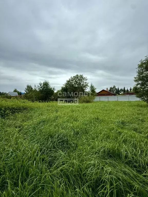 Участок в Московская область, Солнечногорск городской округ, д. ... - Фото 1