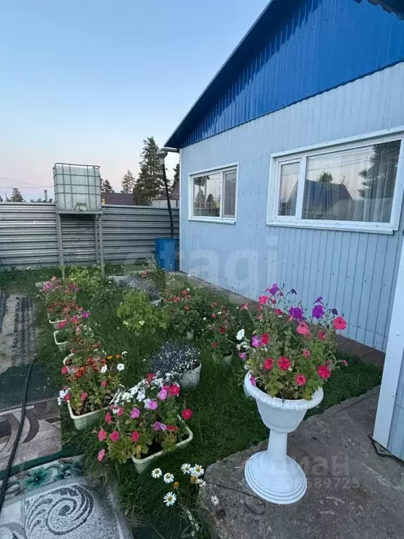 Дом в Ямало-Ненецкий АО, Муравленко Дружба СНТ, пер. Лесной, 15 (61 м) - Фото 2