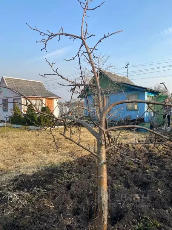 Дом в Калининградская область, Калининград Солнечное СНТ, ул. ... - Фото 1