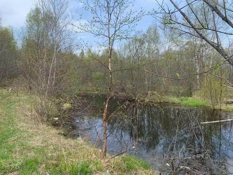 Участок в Хабаровский край, Николаевск-на-Амуре Сибирская ул., 93 ... - Фото 1
