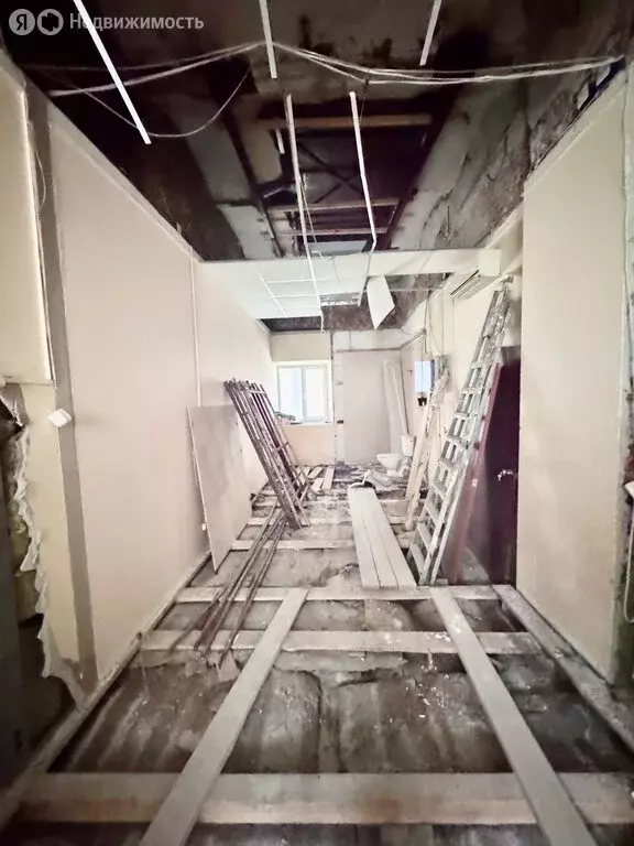 Помещение свободного назначения (33.4 м) - Фото 2