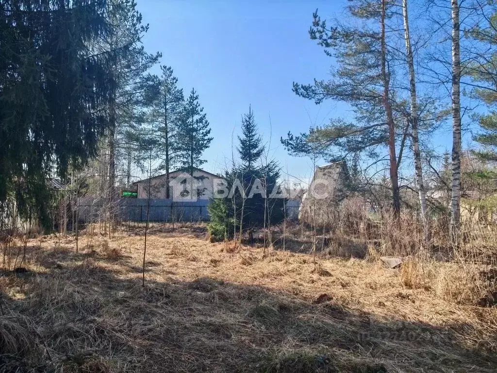 Участок в Ленинградская область, Всеволожский район, Рахьинское ... - Фото 2