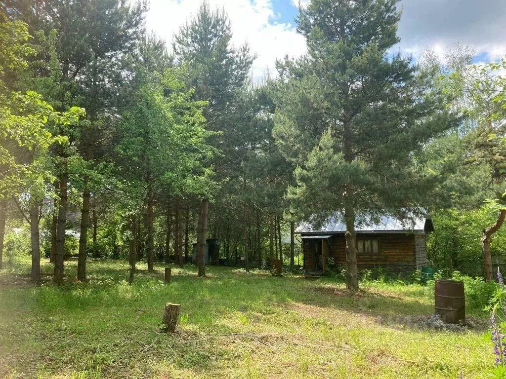 Участок в Московская область, Кашира городской округ, Электроник ... - Фото 1