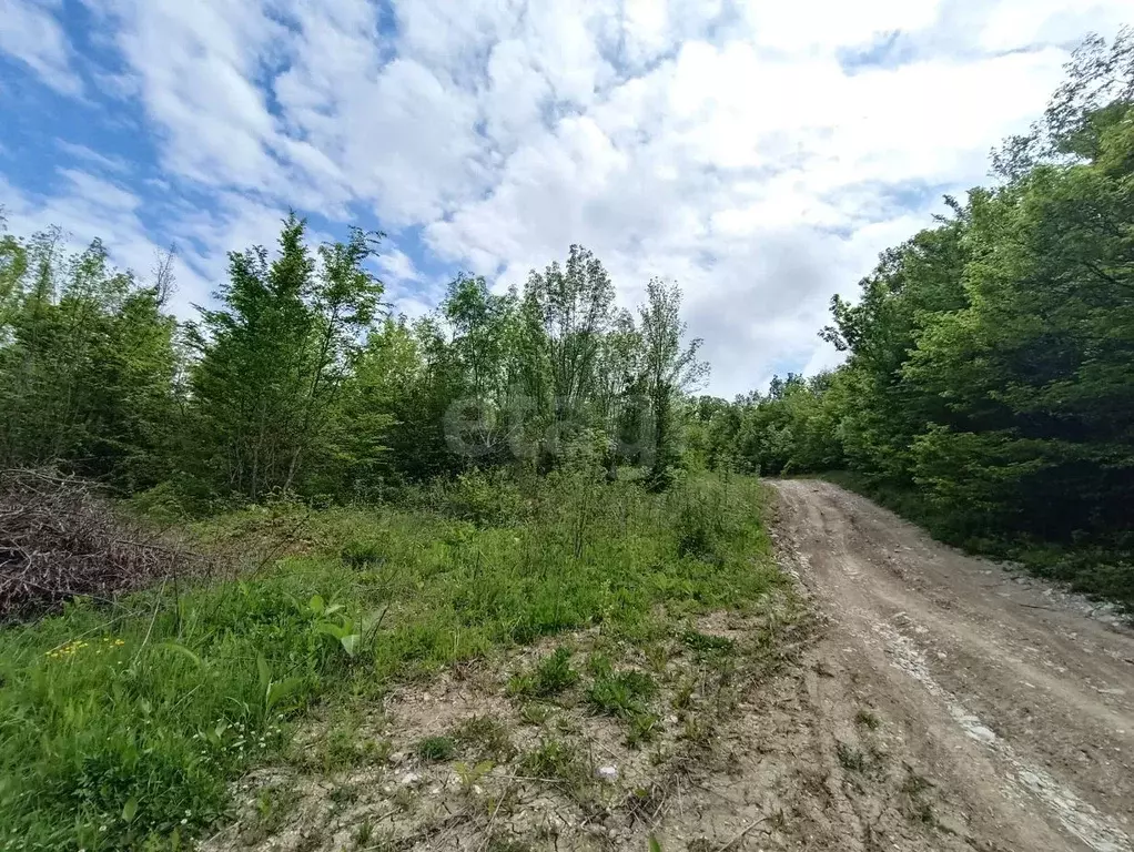 Участок в Краснодарский край, Геленджик городской округ, с. Адербиевка ... - Фото 1