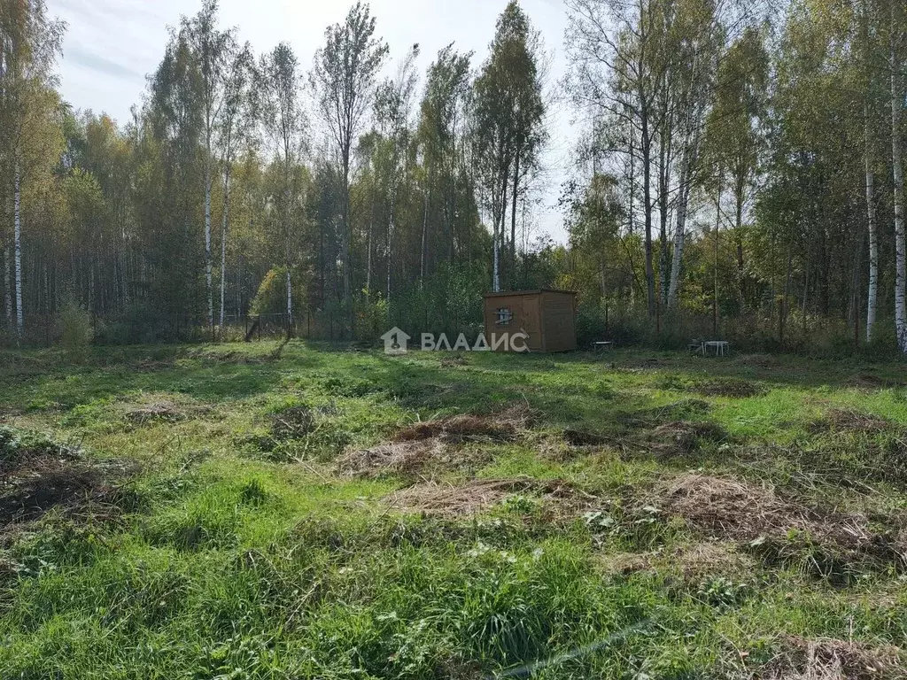 Участок в Владимирская область, Владимир Лунево мкр, ул. Луневская, 51 ... - Фото 1