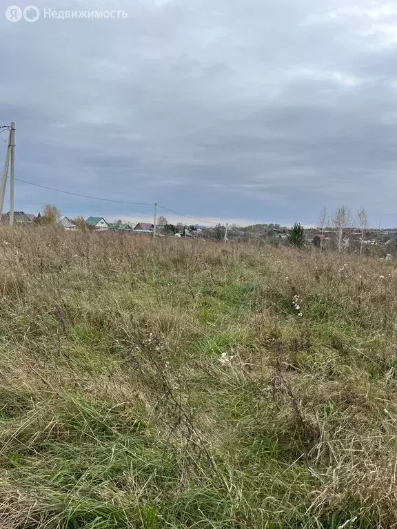 Участок в Кемеровский муниципальный округ, село Андреевка (12 м) - Фото 2