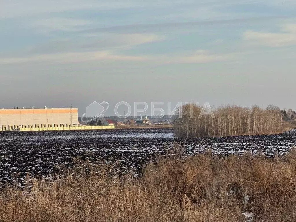 Участок в Тюменская область, Тюменский муниципальный округ, с. Успенка ... - Фото 1