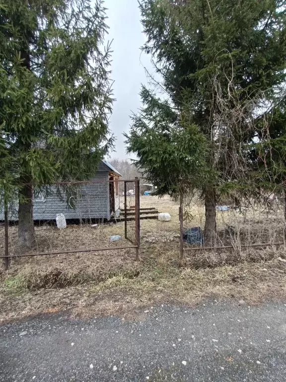 Участок в Москва Осинка СНТ, 38 (6.0 сот.) - Фото 1