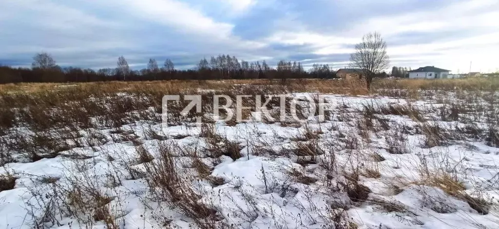 Участок в Костромская область, Кострома ул. Анатолия Соколова (10.4 ... - Фото 2