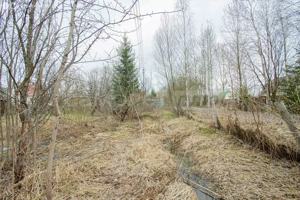 Участок в Одинцовский городской округ, СНТ Глобус (7.5 м) - Фото 1