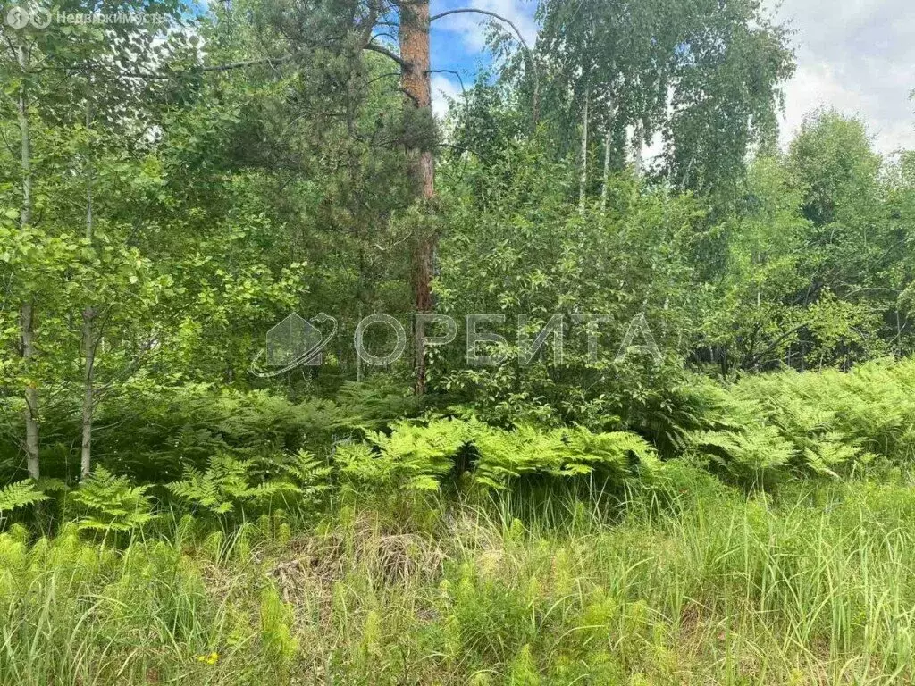Участок в Тюменский район (609 м) - Фото 1