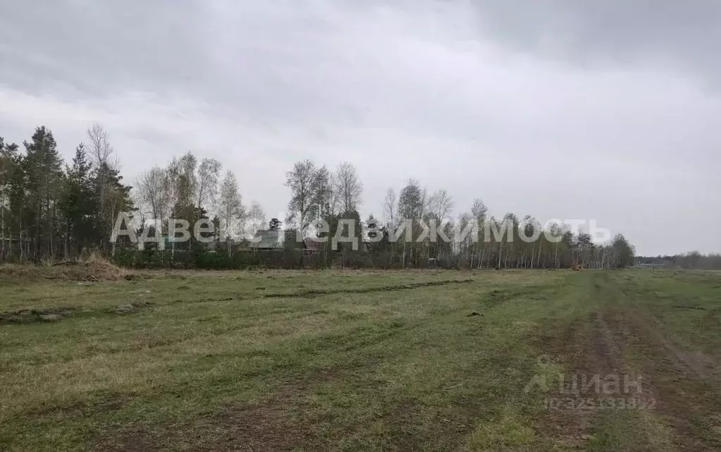 Участок в Тюменская область, Ярковский муниципальный округ, д. Мотуши  ... - Фото 2