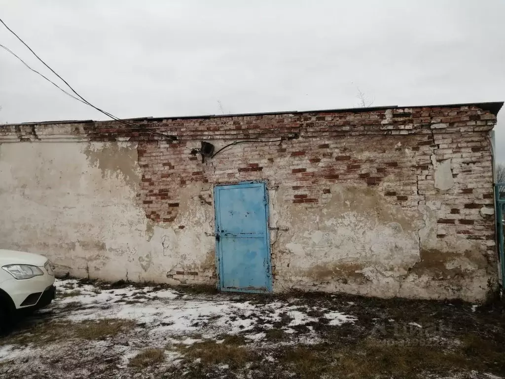 Помещение свободного назначения в Оренбургская область, Оренбургский ... - Фото 0