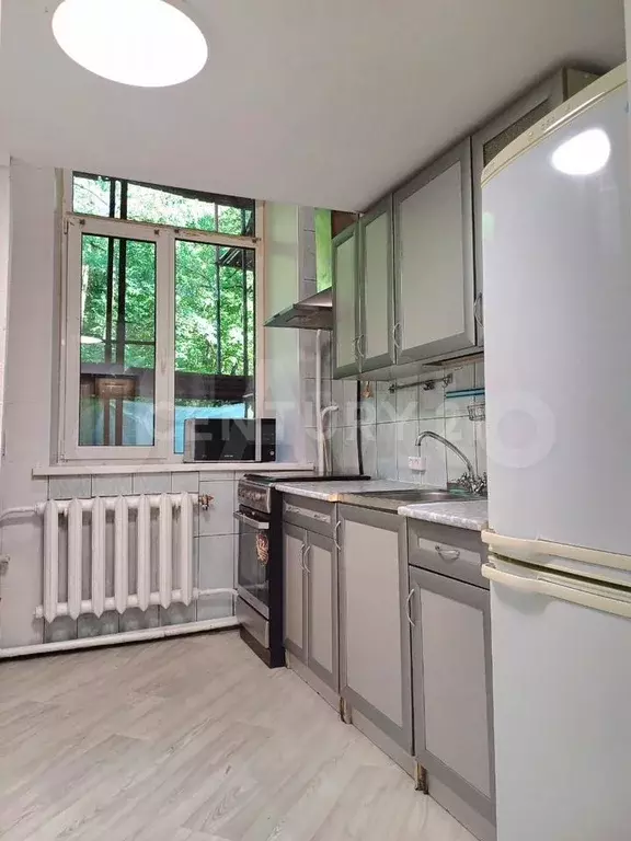 1-к. квартира, 25,8 м, 1/2 эт. - Фото 0