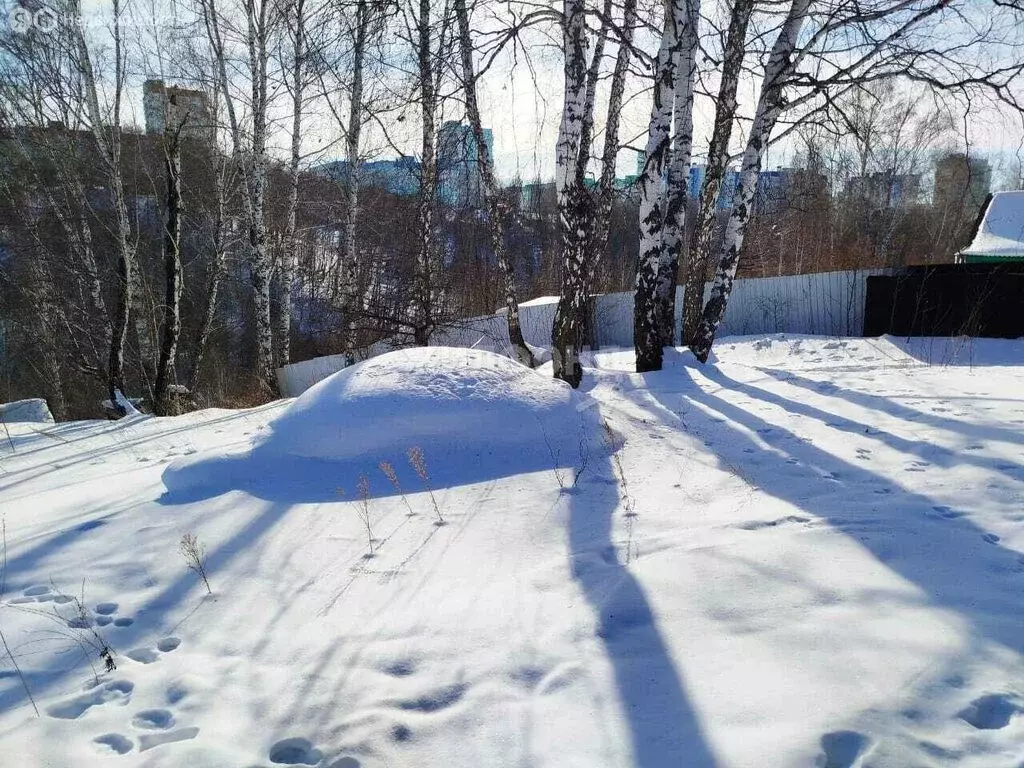 Участок в Новосибирск, садовое товарищество Комета-Берёзка (8 м) - Фото 1