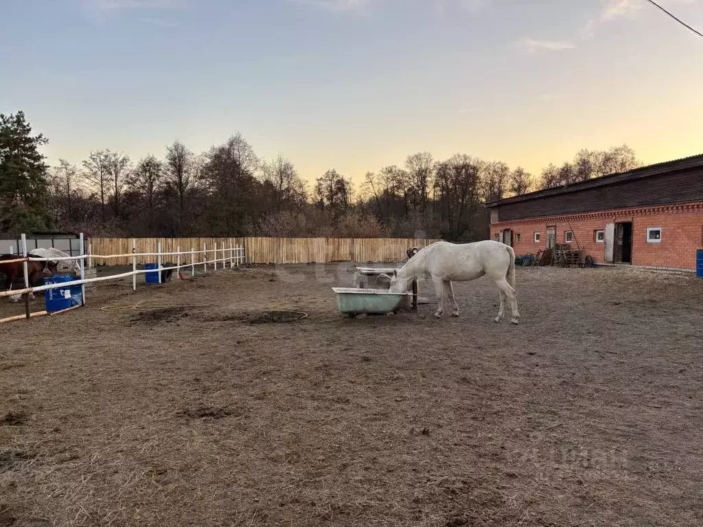 Участок в Курганская область, Кетовский муниципальный округ, с. ... - Фото 1