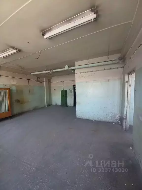 Помещение свободного назначения в Новосибирская область, Новосибирск ... - Фото 1