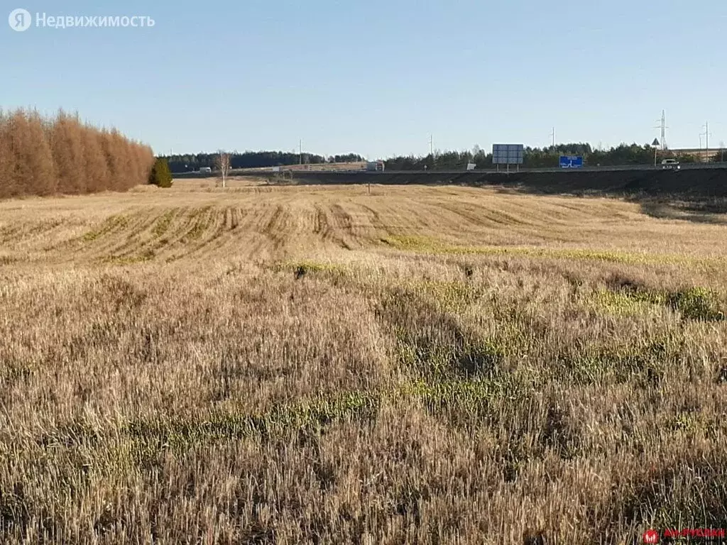 Купить Дом В Колосовке Елабужский Район