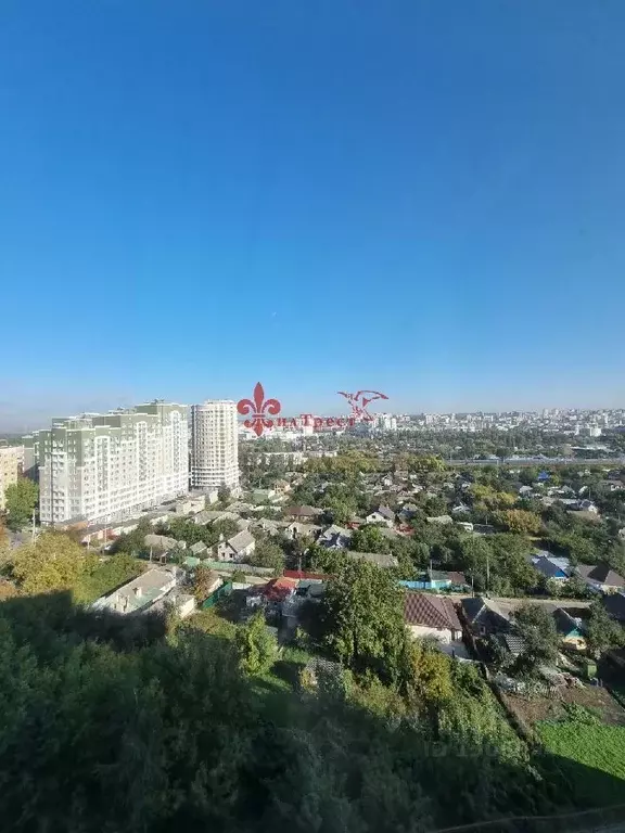 3-к кв. Белгородская область, Белгород ул. 5 Августа, 31 (113.0 м) - Фото 1