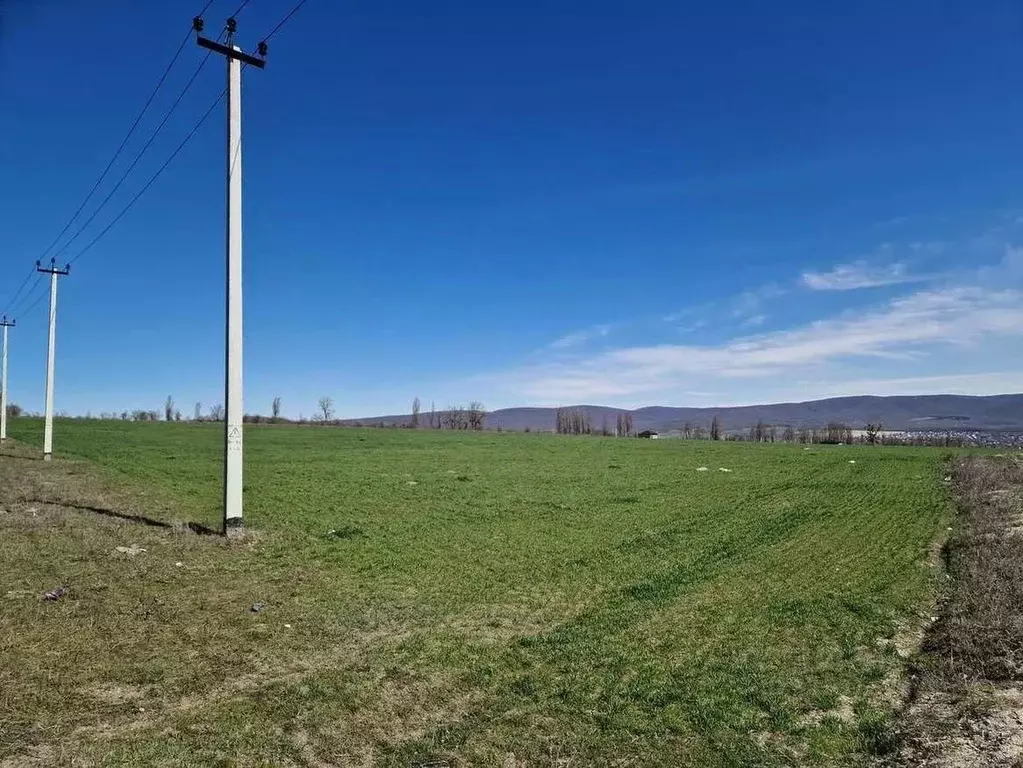 Участок в Краснодарский край, Новороссийск городской округ, ... - Фото 1